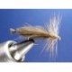 Sedge Bouba