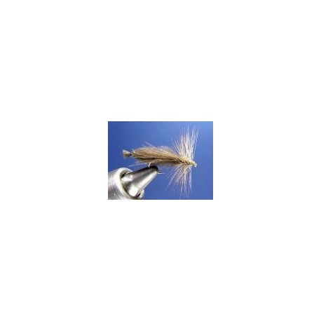 Sedge Bouba