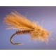 Snow Shoe Caddis