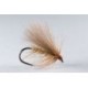 Soft Cinnamon Sedge