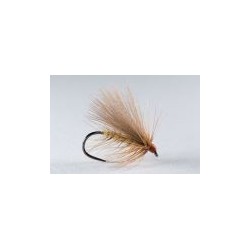 Soft Cinnamon Sedge