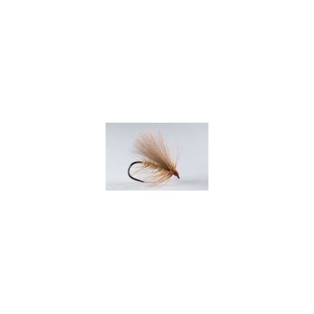 Soft Cinnamon Sedge