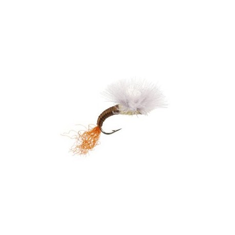 Trinas CDC Budding Emerger Pmd