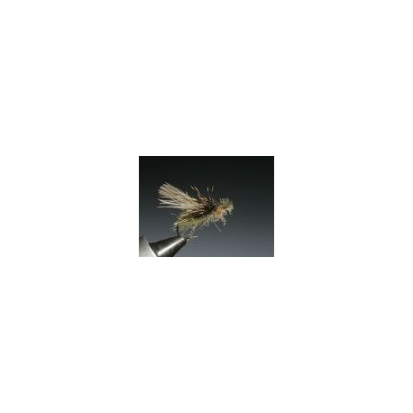 Trojan Caddis