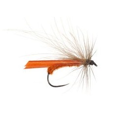 Zeppetto Marrone