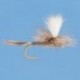 Adams Parachute