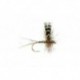 Adams Thorax