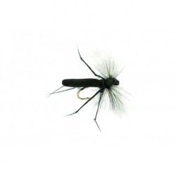 Aero Hawthorne