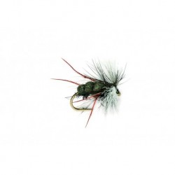 Aero Red Legs