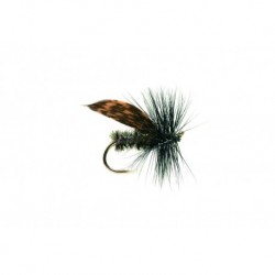 Alder