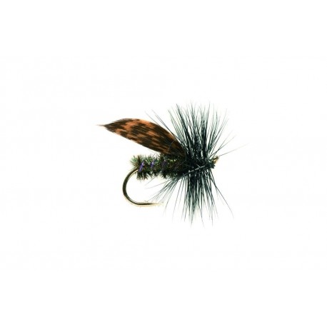 Alder