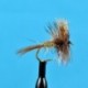 American March Brown