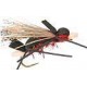 Amy's Ant Red