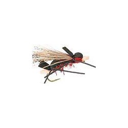 Amy's Ant Red