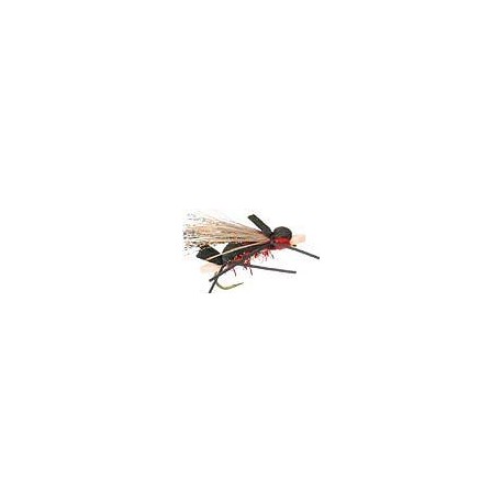 Amy's Ant Red