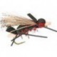 Amy's Ant Red