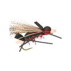 Amy's Ant Red