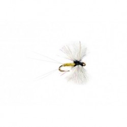 Angel Wing Spinner Trico