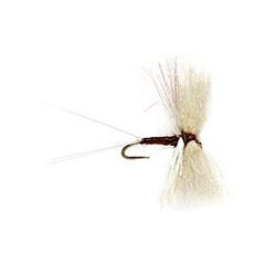 Angel Wing Spinner