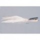 Blue White Trevale Popper