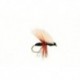 Ant Black CDC