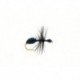 Ant Black