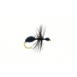Ant Black