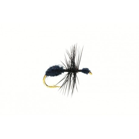 Ant Black