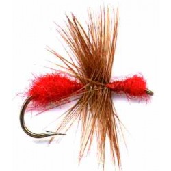 Ant Red
