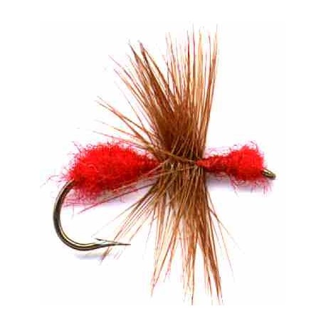 Ant Red