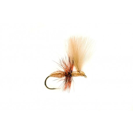 Ant Tan CDC (Ak)