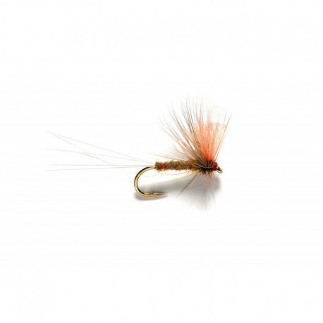 Apricot Spinner