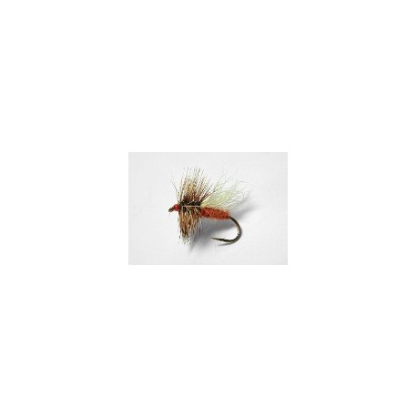 Ausable Caddis
