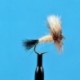 Ausable Wulff