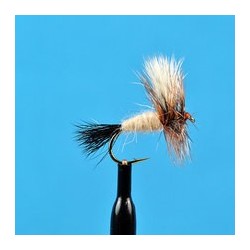 Ausable Wulff