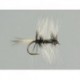 Badger Spider