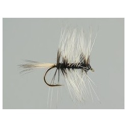 Badger Spider