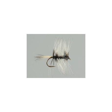 Badger Spider