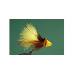 Bubble Bee Diving Bug