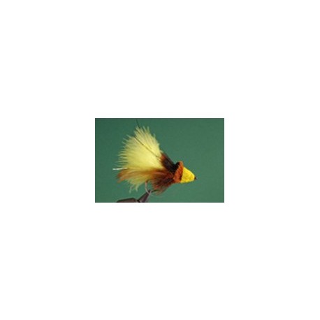 Bubble Bee Diving Bug