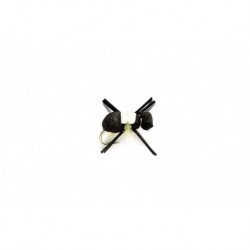 Bank Beetle Black & Yellow