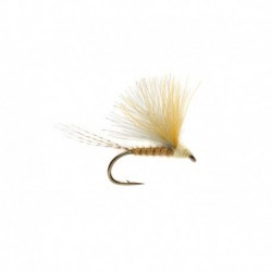Bi Focal Dun Pale Yellow