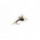 Bill's Black Flying Ant