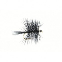 Bivisible Black