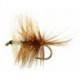Bivisible Brown