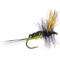 Bjorn's El Tigre