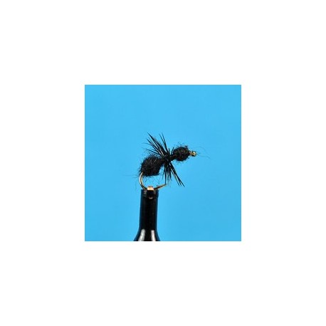 Black Ant