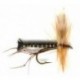 Black Daddy Long Legs