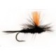 Black Gnat Orange