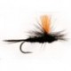 Black Gnat Orange